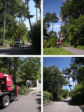 ������ƎԂŔ���