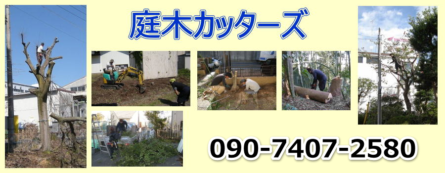 庭木カッターズ | 太田市の庭木の伐採を承ります。